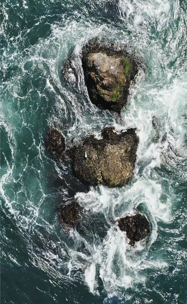 Personalized Perfume